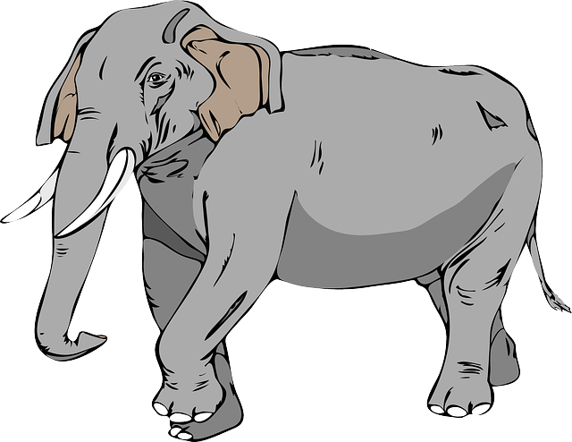 Elephant